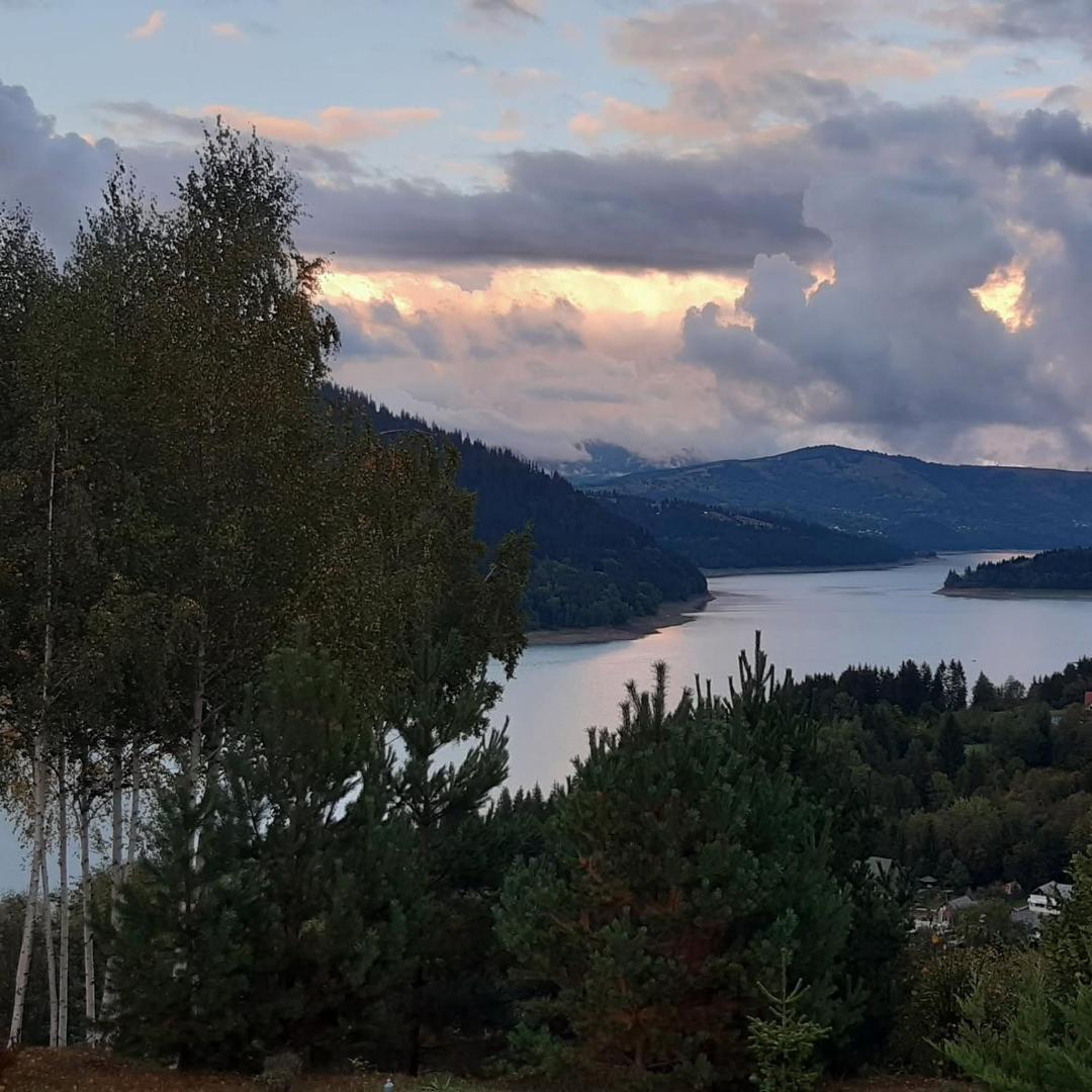 Lacul la apus, printre mesteceni