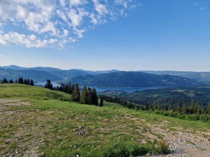 Pajiște de pe culme, cu lacul în depărtare