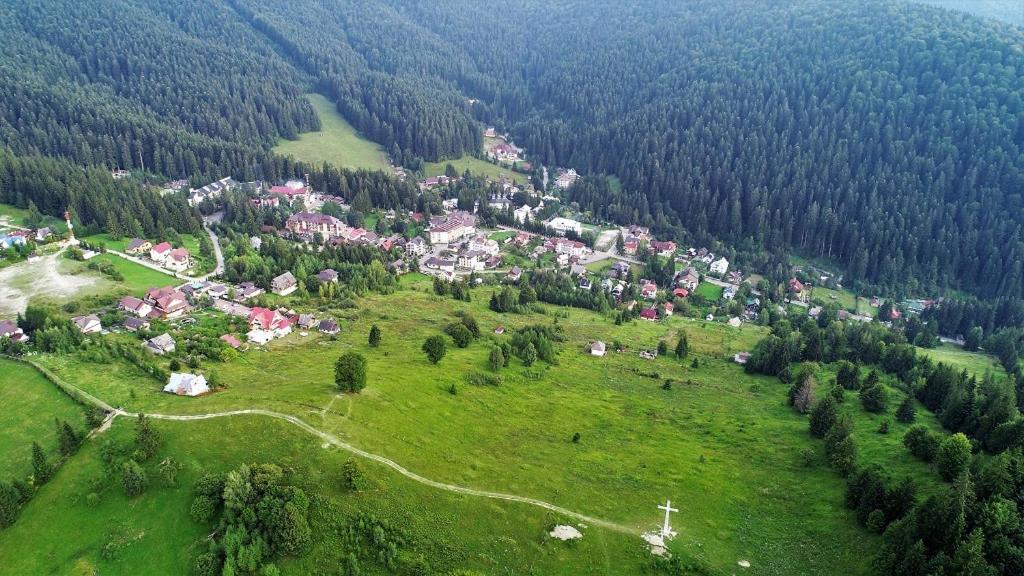 Satul văzut din aer, înconjurat de păduri