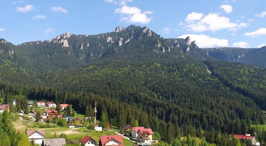 Satul și crestele Ceahlăului, văzute de sus